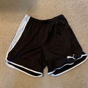 puma shorts